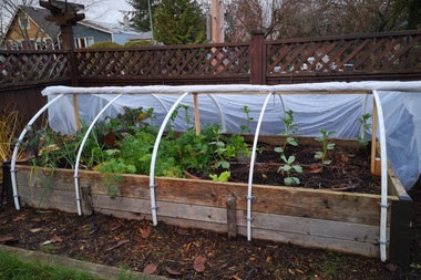 Moestuinieren in de winter