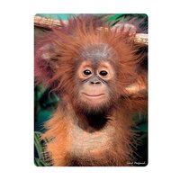 3d ansichtkaart baby orangutan