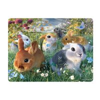 3d ansichtkaart bunnies