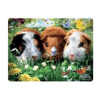 3d ansichtkaart guinea pigs