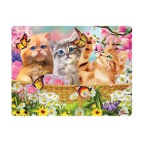 3d ansichtkaart kitten fun time