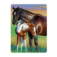 3d ansichtkaart mare & foal