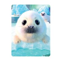3d ansichtkaart seal pups