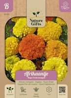 Afrikaantje hoge erecta mengsel 40st