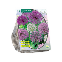 Allium mix paars-wit per 15