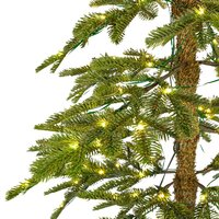 Alpine fir prelit d60h240 groen/warmwit - afbeelding 2