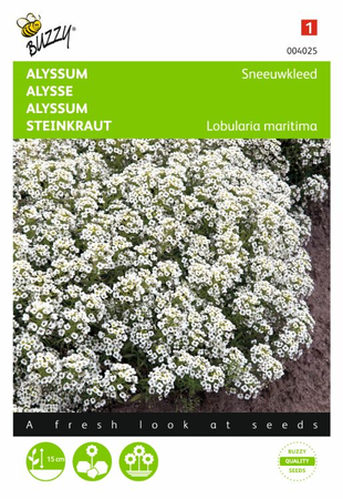 Alyssum sneeuwkleed wit 0.5gram - afbeelding 1