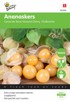 Ananaskers physalis pruinosa 0.1g - afbeelding 1