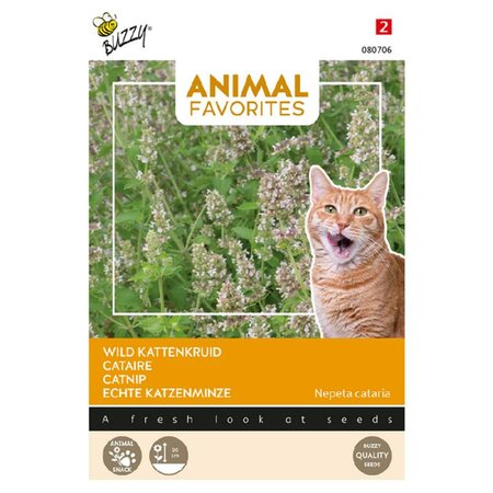 Animal favorites kattenkruid - afbeelding 1