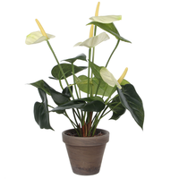 Anthurium Dia30 H40 CM wit (Zijde-plant)