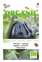 Aubergine black beauty (bio) - afbeelding 1