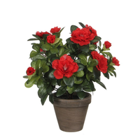 Azalea in pot h27cm rood (Zijde-plant)