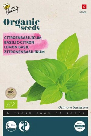 Basilicum citroensmaak (bio) - afbeelding 1