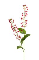 Bellflower l107cm donker roze