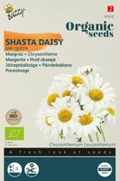 Bio chrysanthemum may queen 0.25g - afbeelding 1