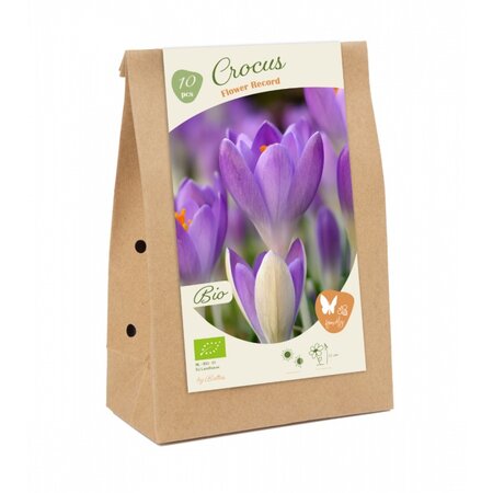 Bio - crocus flower record 10st