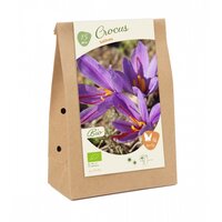 Bio - crocus sativus 15st