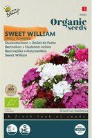 Bio dianthus. duizendschoon mix 1g - afbeelding 1