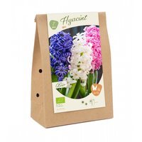 Bio - hyacinth mix 7st