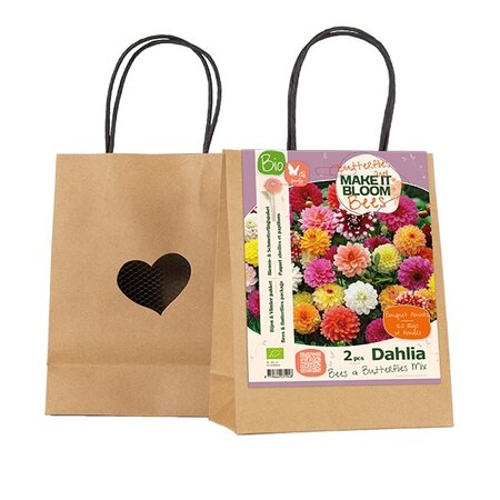 Bio mib b&v dahlia bij /vl mix 2st