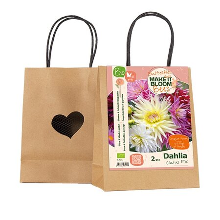 Bio mib b&v dahlia cactus mix 2st
