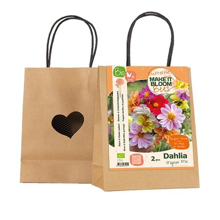 Bio mib b&v dahlia mignon mix 2st