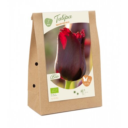 Bio - tulipa masterpeace 7st