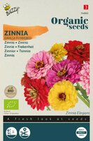 Bio zinnia dahliabloemige mix 1.5g - afbeelding 2