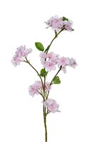 Bloesem l80cm licht roze