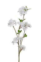 Bloesem l80cm wit
