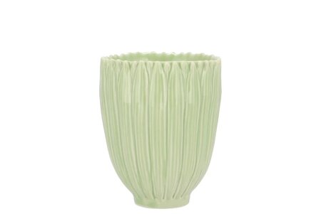 BLOOM DAISY DREAMY GREEN CUP 8X8X9CM