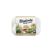 Blossombs eggbox 6st