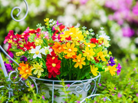 Buitencanvas 78x58cm bloemen in pot