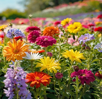 Buitencanvas 78x78cm bloemenveld