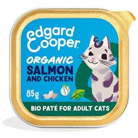 Cat adult pate organic salmon/chick