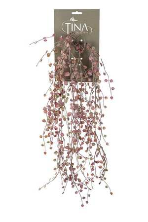 Ceropegia hanger l60cm rood header