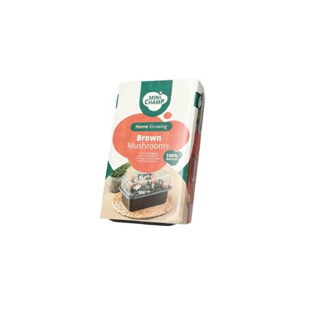Champignons bruin 3l - afbeelding 1