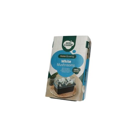 Champignons wit 3l - afbeelding 1