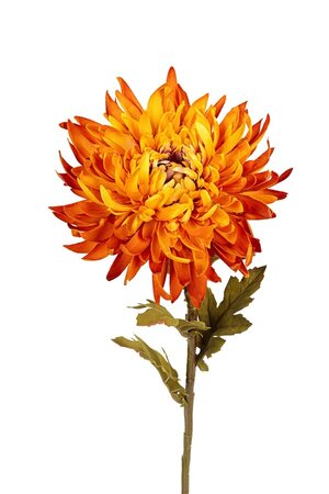 Chrysantsteel l62cm geel/oranje