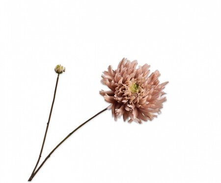 Chrysanttak l101cm mauve/groen