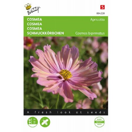 Cosmos. cosmea apricotta 30 zdn