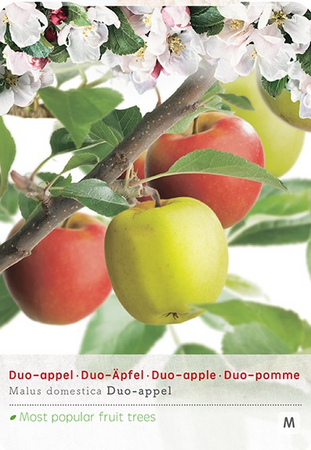 Duo-appel Elstar/Golden Delic. P24 - afbeelding 1
