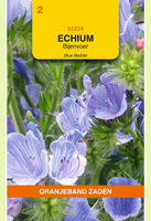 Echium plantagineum blue bedder 1g - afbeelding 1
