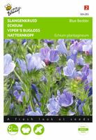 Echium plantagineum blue bedder 1gram - afbeelding 1