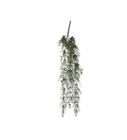 Eucalyptus hang l65cm groen