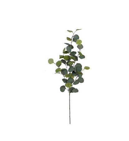 Eucalyptus tak l90cm groen