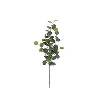 Eucalyptus tak l90cm groen