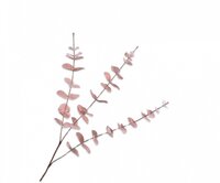 Eucalyptustak l99cm roze