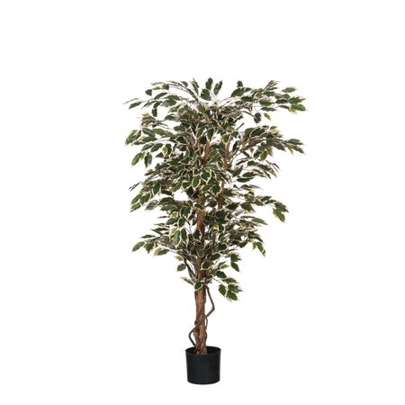 Ficus hawaii in pot d75h150cm groen (Zijde-plant)