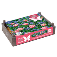 Flower crate aladdin